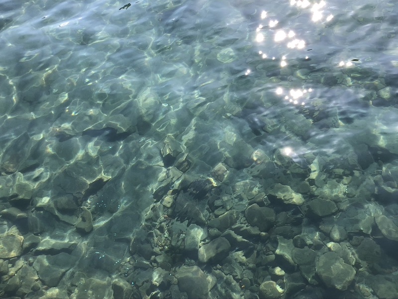 湖の画像