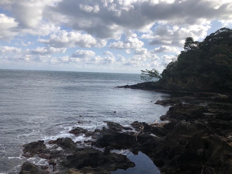 海の画像