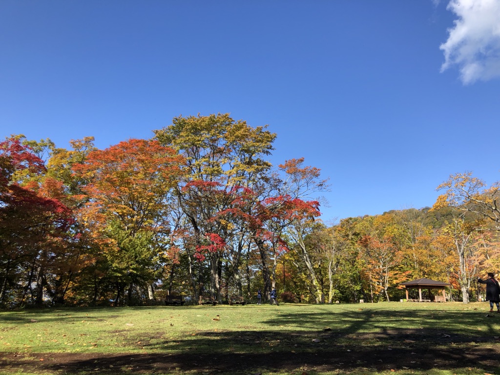 支笏湖紅葉画像